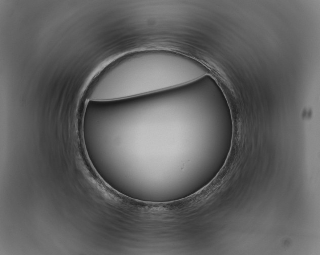 X0000090980784200708021141