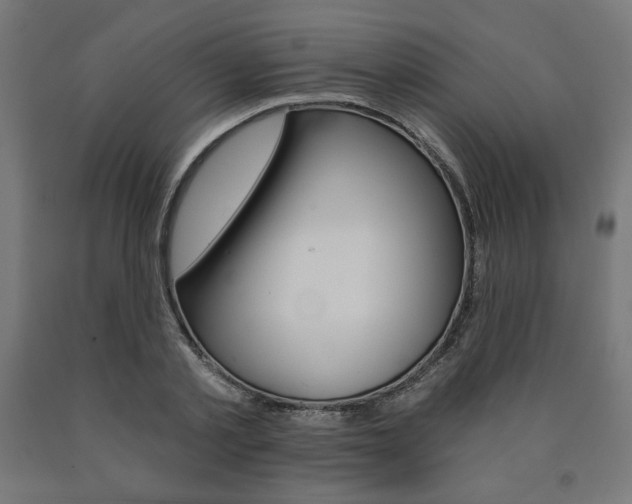 X0000090980789200708021140