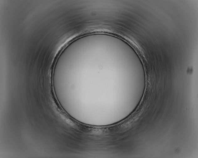 X0000090980790200708021140