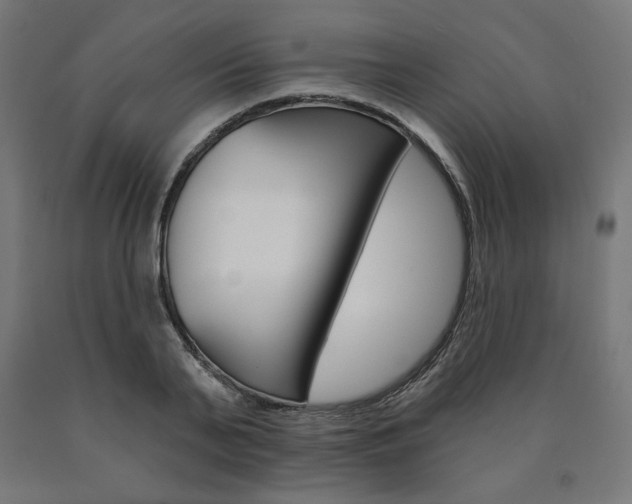 X0000090980791200708021140