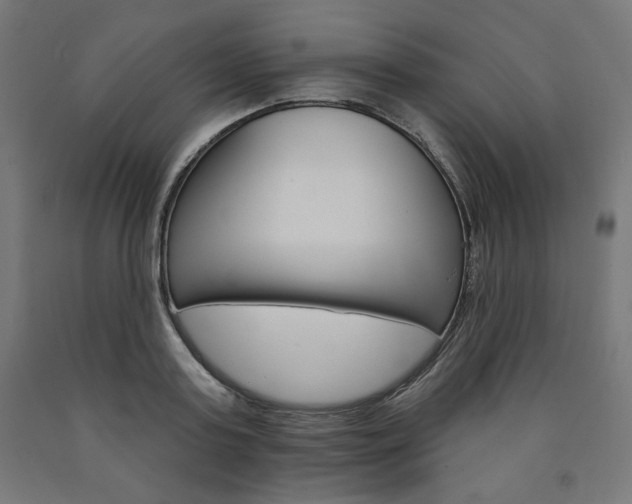 X0000090980795200708021140