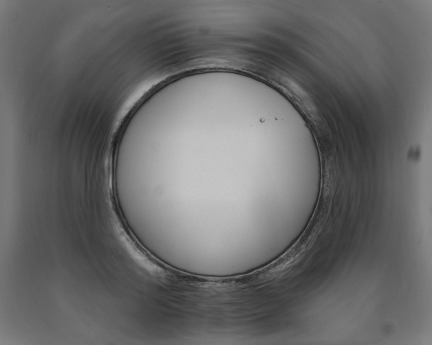 X0000090980796200708021140