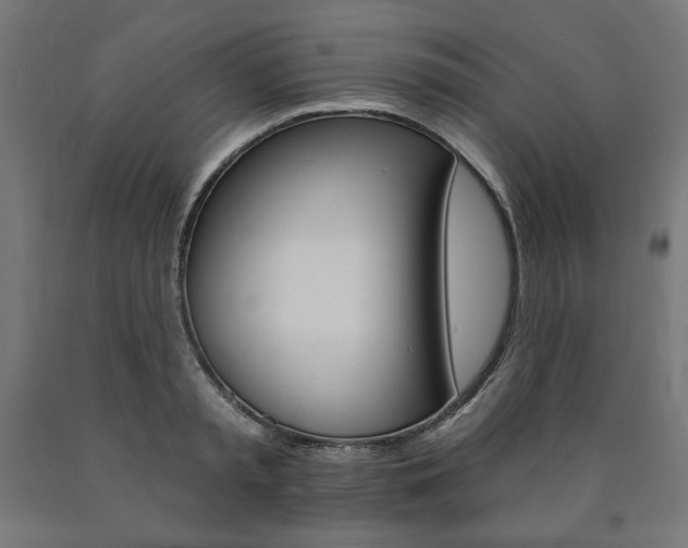 X0000090980797200708021140