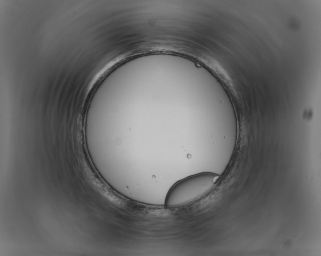 X0000090980798200708021140