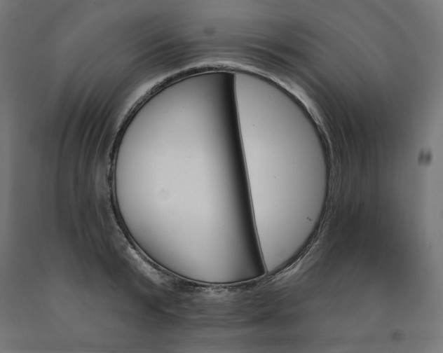 X0000090980799200708021140