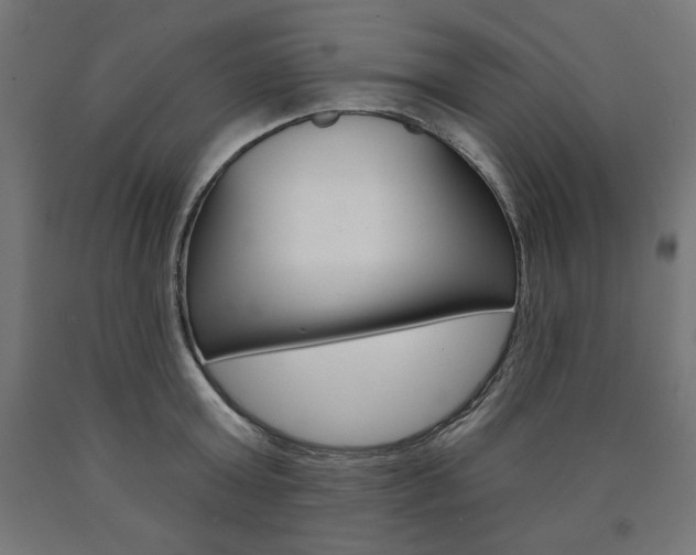 X0000090980803200708021140