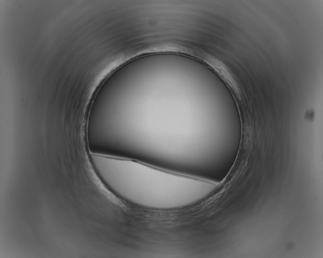X0000090980805200708021140
