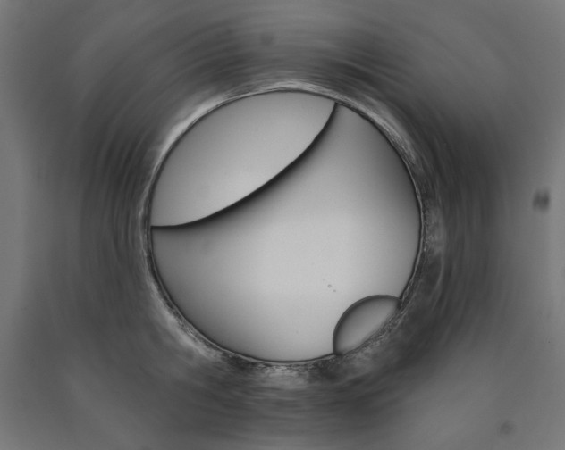 X0000090980806200708021140
