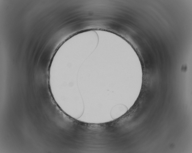 X0000090980807200708021140