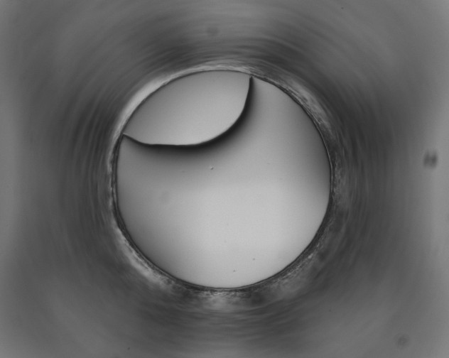 X0000090980808200708021140