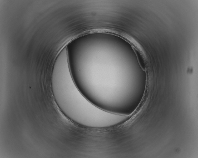 X0000090980809200708021140