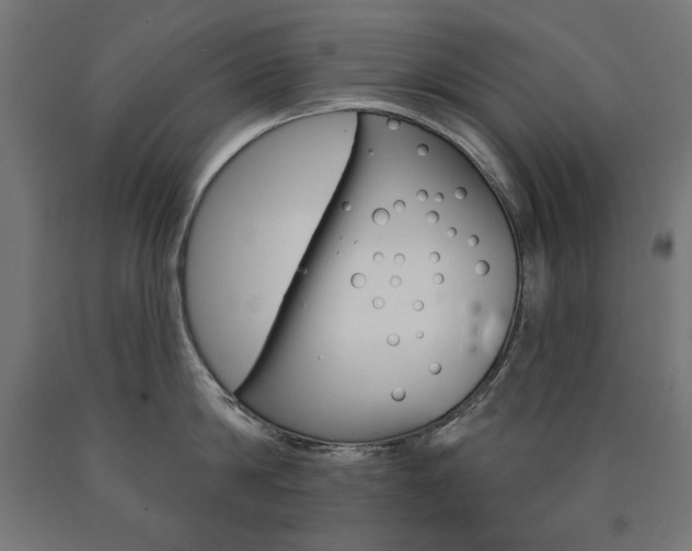 X0000090980814200708021140