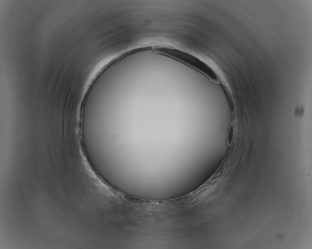 X0000090980815200708021140