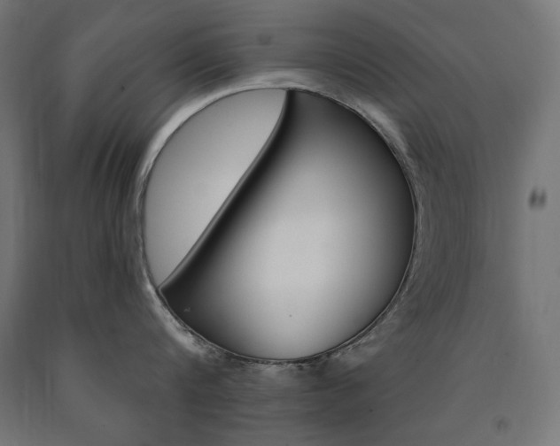 X0000090980816200708021140