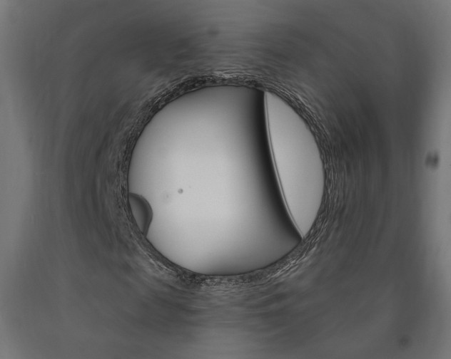 X0000090980817200708021139