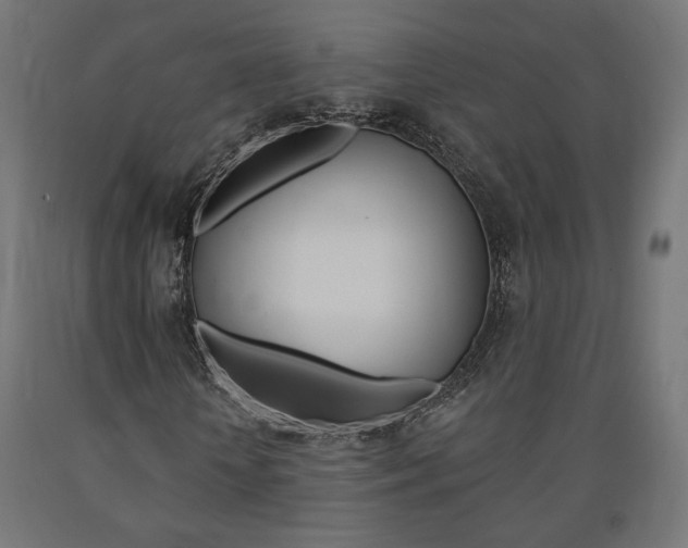 X0000090980818200708021139