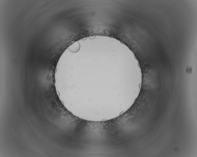 X0000090980820200708021139