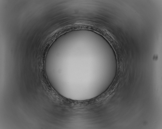 X0000090980821200708021139