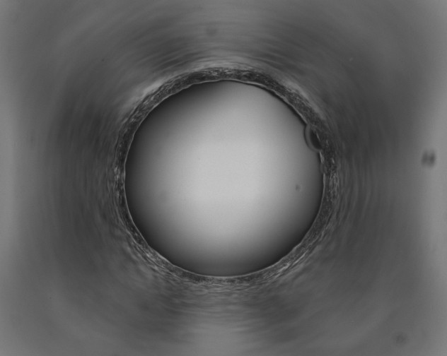 X0000090980822200708021139
