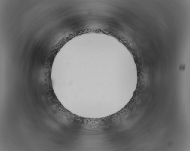 X0000090980824200708021139