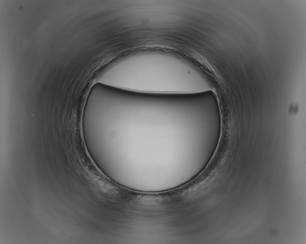X0000090980825200708021139