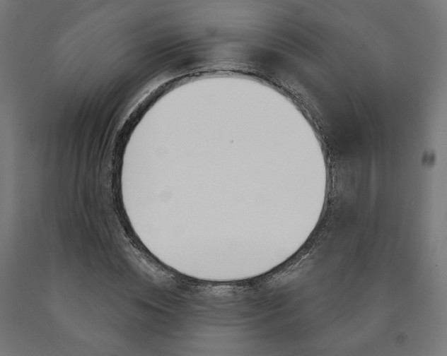 X0000090980828200708021139