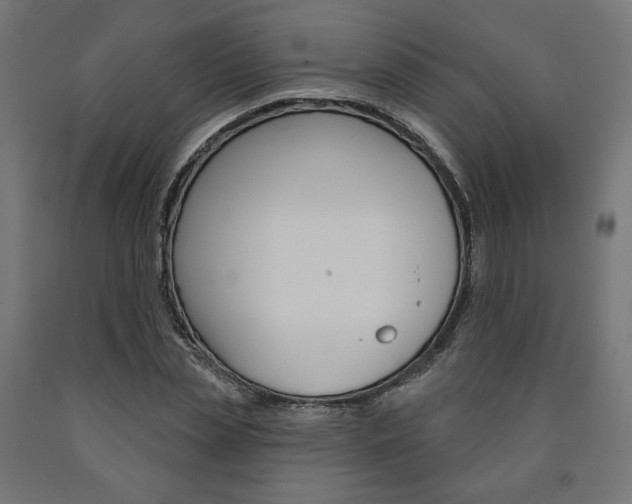 X0000090980829200708021139