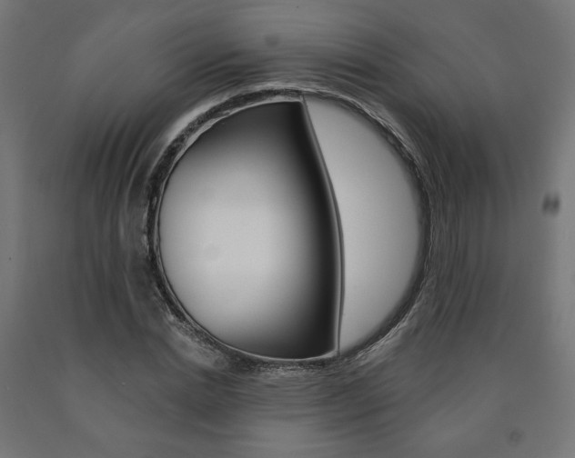 X0000090980830200708021140