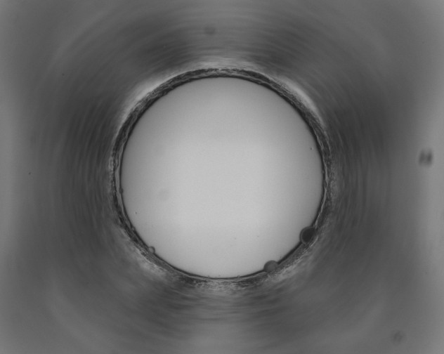 X0000090980831200708021140