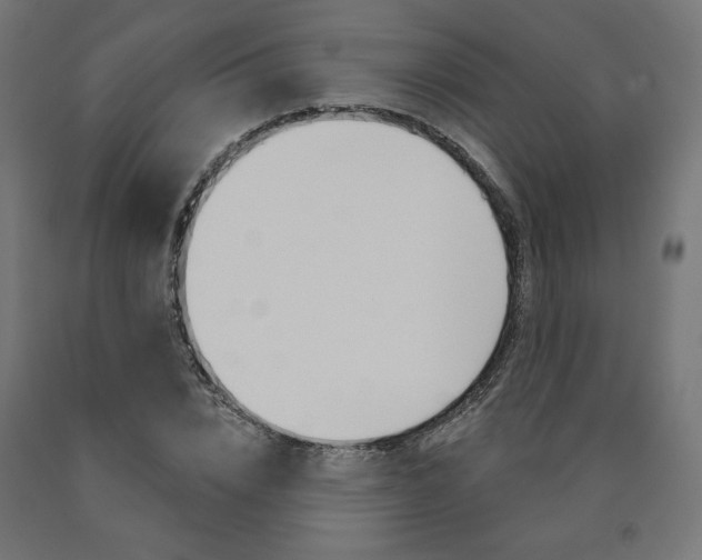 X0000090980832200708021140