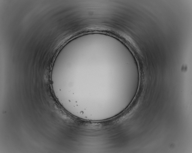 X0000090980833200708021140
