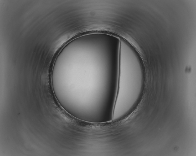 X0000090980834200708021140