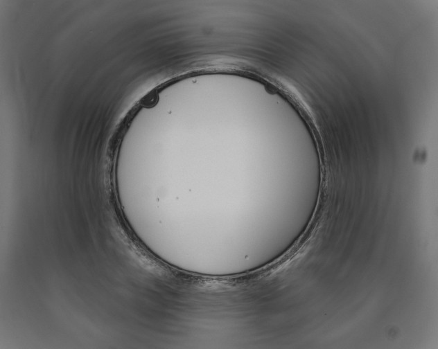 X0000090980835200708021140