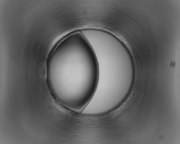 X0000090980838200708021140
