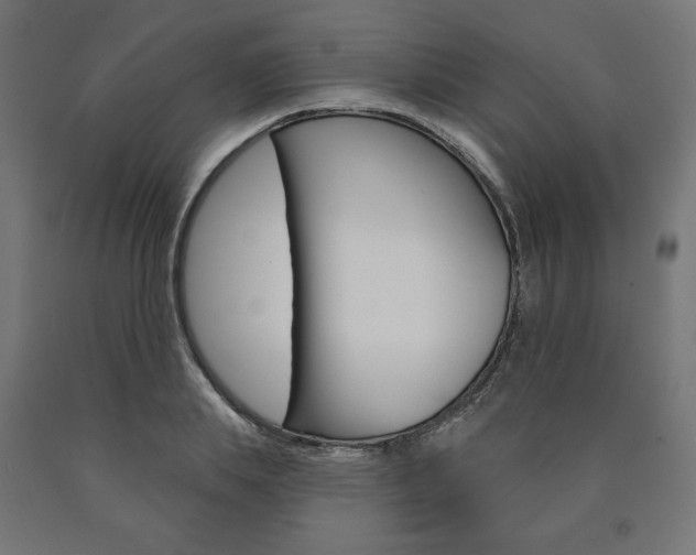 X0000090980839200708021140