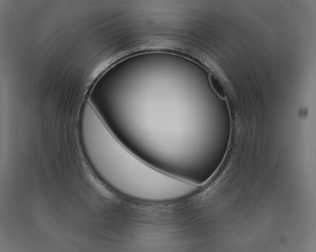 X0000090980842200708021140