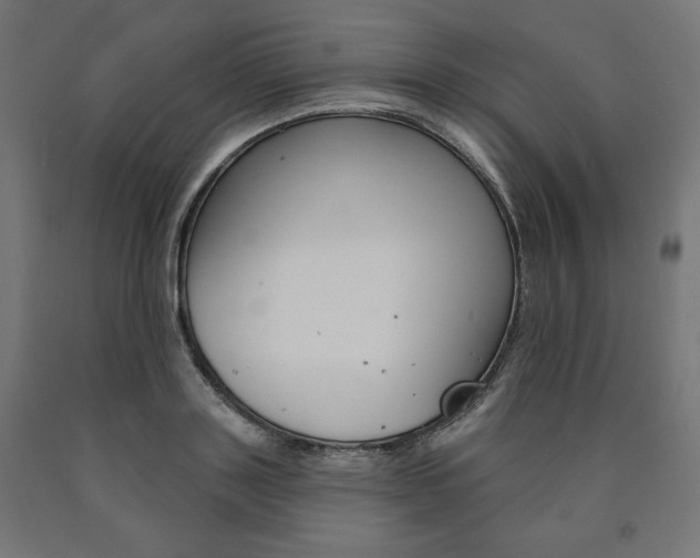 X0000090980843200708021140