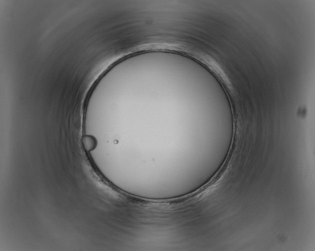 X0000090980844200708021140