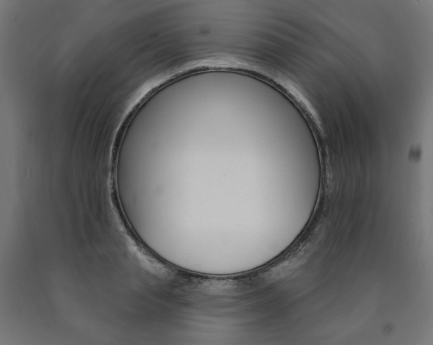 X0000090980845200708021140