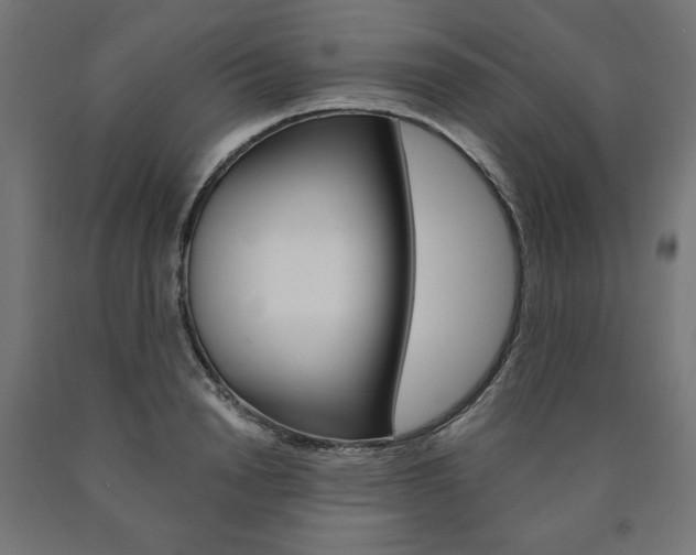 X0000090980846200708021140