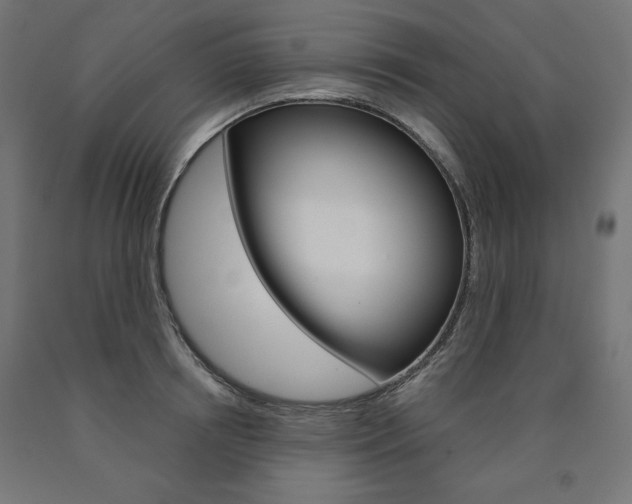 X0000090980850200708021140