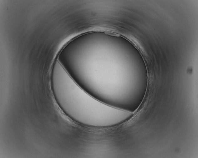 X0000090980854200708021140