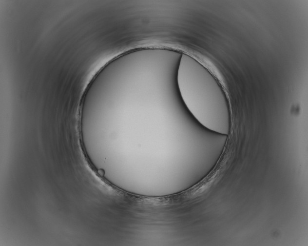 X0000090980855200708021140