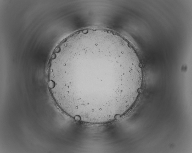 X0000090980856200708021140