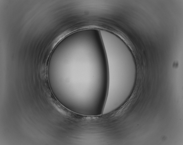 X0000090980858200708021140
