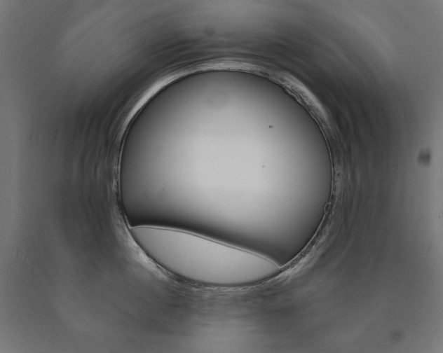 X0000090980860200708021140