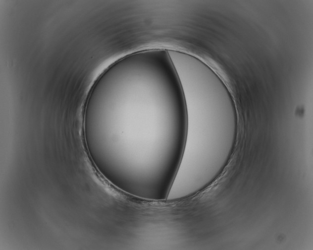 X0000090980862200708021140