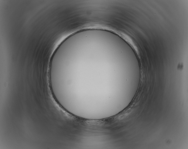 X0000090980863200708021140