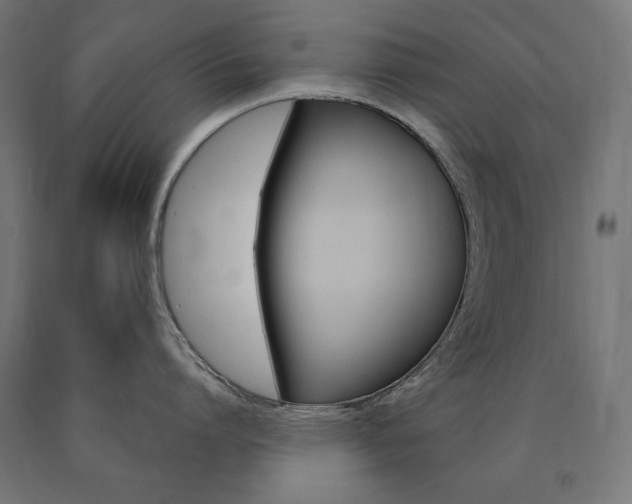 X0000090980864200708021140