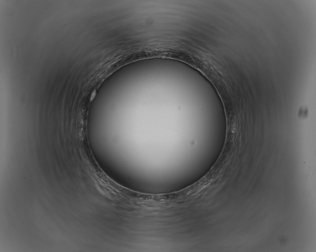 X0000090980868200708021139